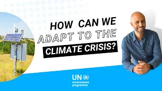 How can we adapt to the climate crisis?