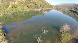 The crocodile of Crete filmed by drone!!!!