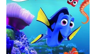 Finding Dory In Real Life 2017