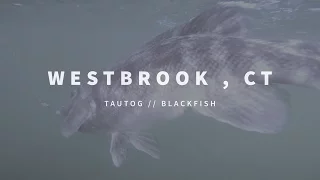 New England Fishing // Westbrook, CT // Episode 106