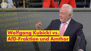 Irrer AfD-Antrag: Wolfgang Kubicki räumt auf!