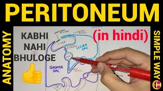 Peritoneum Anatomy | Lesser  Sac | Greater Sac | Peritoneum | Anatomy