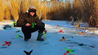 РЫБАЛКА НА ПОСТАВУШКИ! РЫБЕ НЕ ПРОЙТИ МИМО! Расставили целое минное поле на рыбалке! Бешенный клёв!