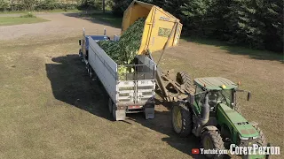 Sweet Corn Harvester at Work