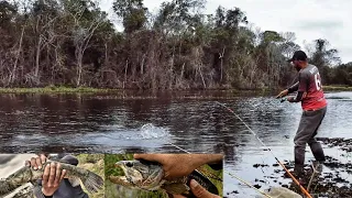 Trairão gigante surgiu da lama com ataque assustador no lago das gigantes, pescaria de traíra!