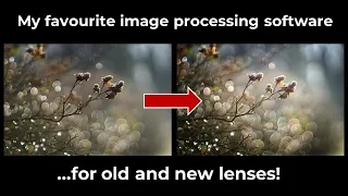 My favourite image processing software in action – the Nik Collection