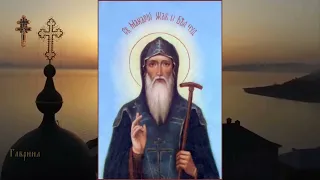 Преподобный Макарий Жабынский, Белевский чудотворец (1623)