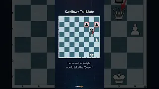 Why Swallow’s Tail Mat? 🤔 Watch the video till the end to figure out #shorts #chessmood #chess
