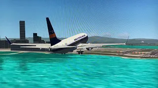 Boeing 737 SMOOTH landing on a short runway!