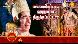 ராமானந்த் சாகரின் இராமாயண கதைகள் | லங்காயினியால் ஹனுமான் நிறுத்தப்பட்டார் | Tilak Tamil