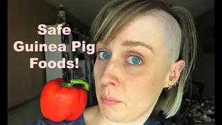 10 Foods Safe For Guinea Pigs