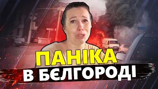 Паніка ОХОПИЛА Бєлгород! Охлобистін наговорив ЗАЙВОГО. На РосТБ кричать про ядерку