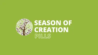 #SeasonOfCreation: September 6, 2020