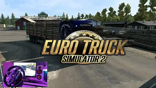 Euro Truck Simulator 2 + Руль Thrustmaster T248 #2