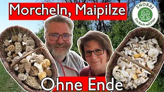 Morcheln und Maipilze ohne Ende - Tolle Pilze-Tour in Thüringen im Mai 2023