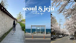 korea vlog💌 | spring in seoul and jeju 🇰🇷🌸, lots of cafes and eating