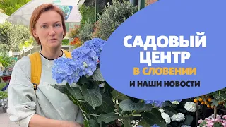 Влог из Словении / Садовый центр и наши новости! Vrtni center Arboretum