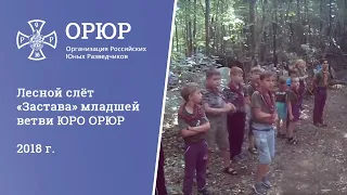 Лесной слёт «Застава» младшей ветви ЮРО ОРЮР