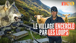 Ce village d’Isère résiste à trois meutes de loups