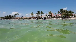 Walking Tour to Playa Del Niño Cancún Mexico 4K 🇲🇽 | OFIBO English