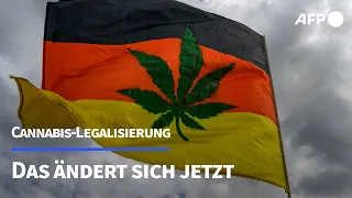 Cannabis-Legalisierung: Das ändert sich jetzt | AFP