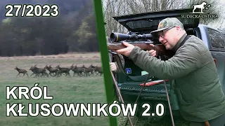 SUDECKA OSTOJA 27/2023 Deer Hunting in Poland