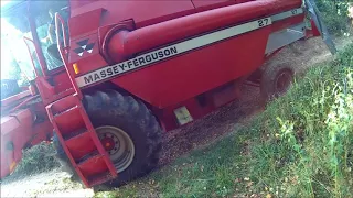 Żniwa 2017 ㋡ Massey Ferguson 27 ㋡ Agro-Małopolska