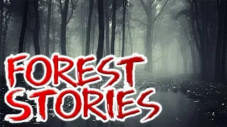 3 Scary Forest Creepypasta Stories