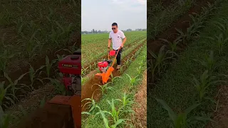 Mini Plow Machine so cool #satisfying