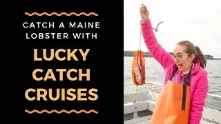 Explore Portland: Catch a Maine Lobster with Lucky Catch Cruises | Marcie in Mommyland