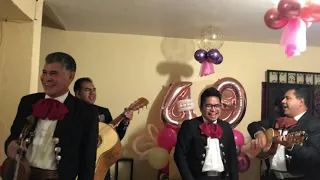 Mariachis mamones, el mono de alambre