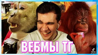 БРАТИШКИН СМОТРИТ ВЕБМЫ ТГ (2 ЧАСТЬ)