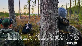 TEEREN METSÄSTYS | Metsäkanalintujen metsästys alkaa | hunting in Finland