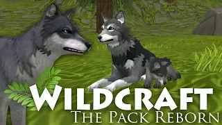 Rebirth of a Wolf Named Lynx 🌿 WildCraft: The Pack Reborn • #1