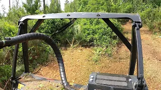 ABANDONED LOGGING TRACK TURNED INTO AN OVERGROWN BRIAR PATCH HELLSCAPE!