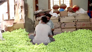 How Tennis Balls are Made