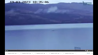 2nd Sweep of Giant Eel like creature on surface of Loch Ness viewed on VILN Shoreland Lodges webcam