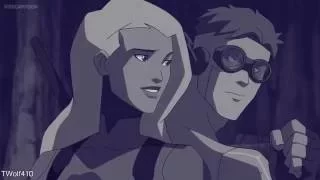 Young Justice Girls: This is my Fight Song [Finished]