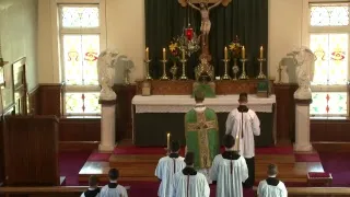 SSPXNZLIVE Live Stream - 27 August 2017 High Mass