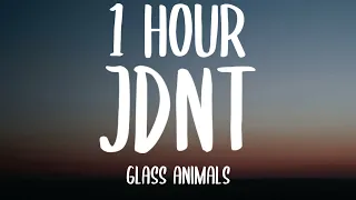 Glass Animals - JDNT (1 HOUR/Lyrics)