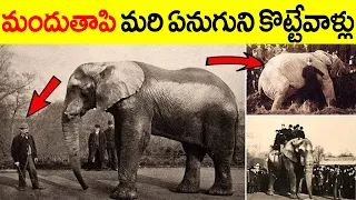 A Real And Sad Story Of An Jumbo Elephant || Anthariksham TV