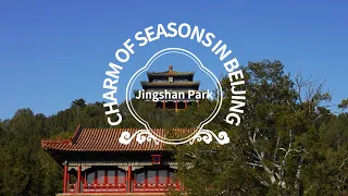 Charm of Seasons in Beijing — Jingshan Park