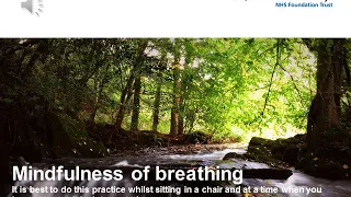 Mindfulness of breathing