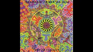 Shamanic Tribes On Acid - Book Of Changes Kinetix records 1997
