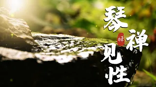 古琴名曲 琴禅见性 加长完整版 太极 禅意音乐 修身养性的好音乐 放下烦恼享受这一刻