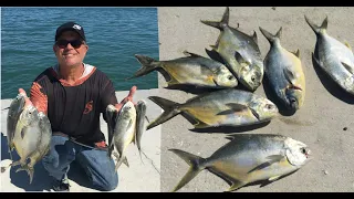 Few People Know These Tricks (Simple Way To Catch Pompano) Fishing On Bridges