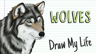 CURIOUS FACTS ABOUT WOLVES | Draw My Life