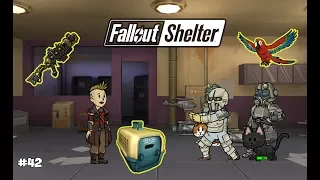 ИЩЕМ ПРЕСТОНА ГАРВИ И УХОДИМ В ОТРЫВ - Fallout Shelter #42