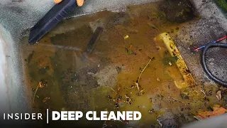 How 6 Years Of Mold In A Car Is Deep Cleaned | Deep Cleaned