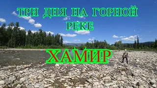 Рыбалка на Хариуса р. Хамир